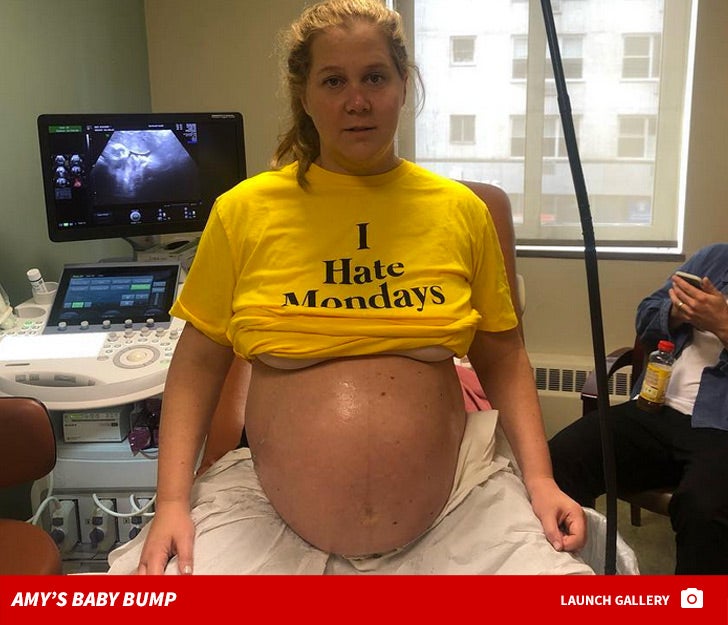 Amy Schumer's Pregnant Belly