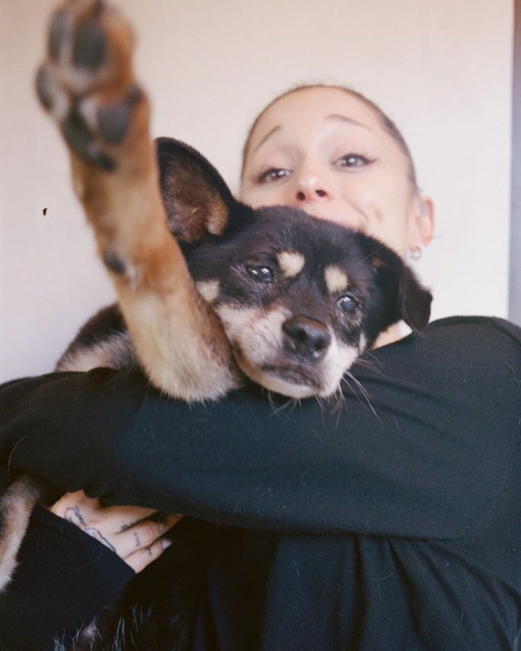 Remembering Ariana Grande Dog Coco 3