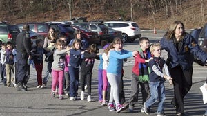 Sandy Hook School Massacre -- You Be the Judge