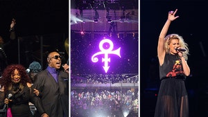 Prince Tribute -- Stevie Wonder, Chaka Khan & More ... Nearly 5 Hour Send-off Show! (PHOTO GALLERY & VIDEO)