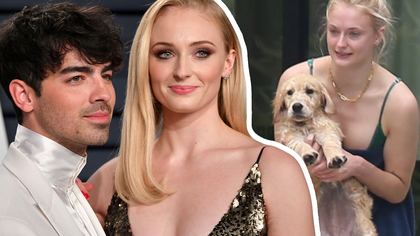 Joe Jonas and Sophie Turner are getting over the death of their dog with the help of a new furry friend ... they got a new pup in their company just over a week later.