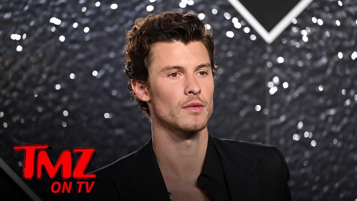shawn_mendes_tv_kal