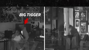big-tigger-primary-v2-06-26-2026