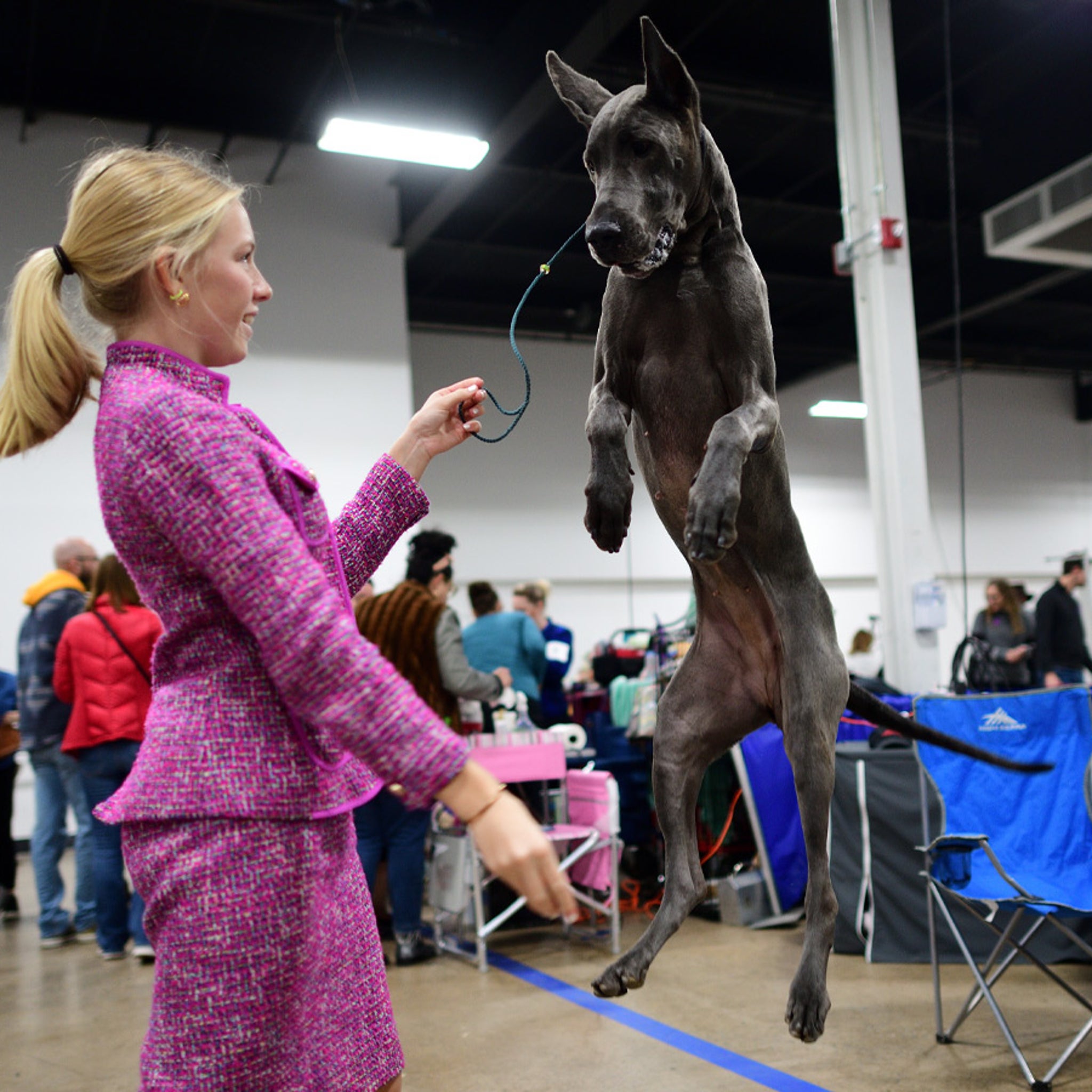 National Dog Show Presented By Purina, Behind The Scenes Photos - TMZ (Picture 2)