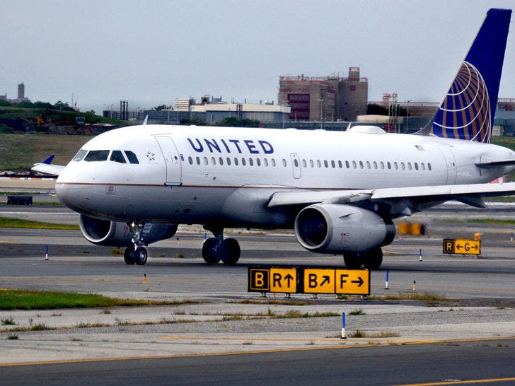 United Airlines Rolling Out New Pet Carrier Tags After Dog's :: 0314-united-airlines-plane-getty-3