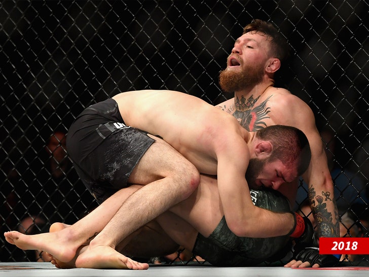 khabib and conor mcgregor fight ufc