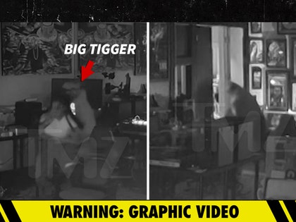 big-tigger-primary-v2-06-26-2026