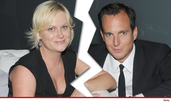 Will Arnett recalls his 'brutal' divorce from Amy Poehler