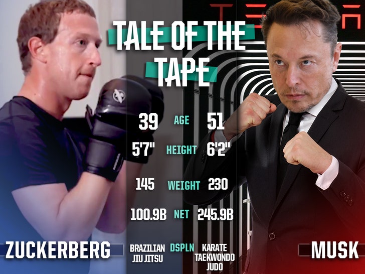 UFC: Podcaster Lex Fridman tests Elon Musk and Mark Zuckerberg's MMA skills