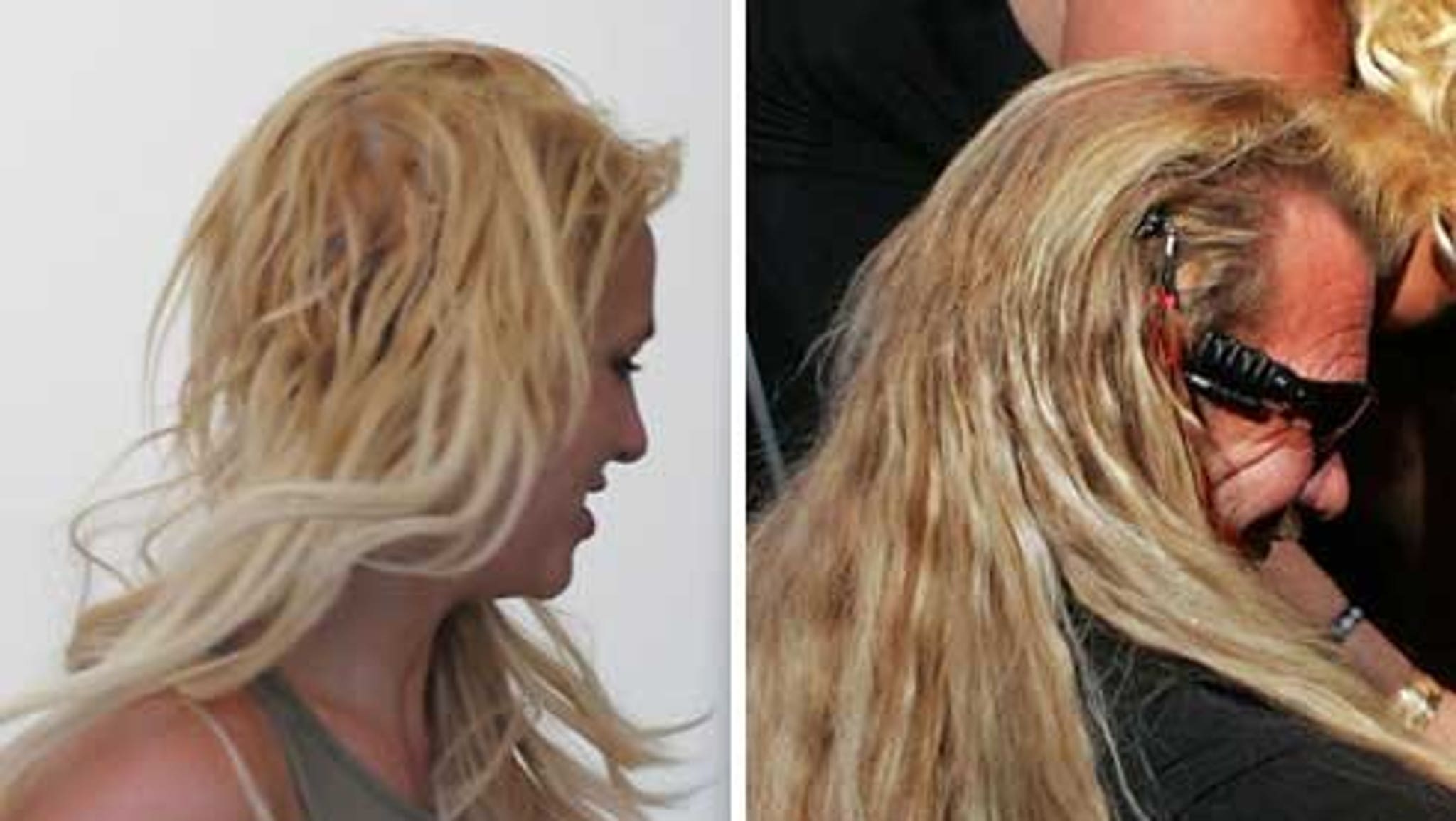 Britney's Weave Is for the Dog