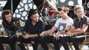 One Direction -- Remaining Bandmates Going in Own Directions