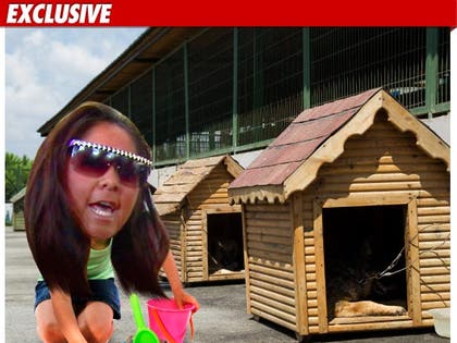 0908_snooki_shelter_EX_TMZ_composite