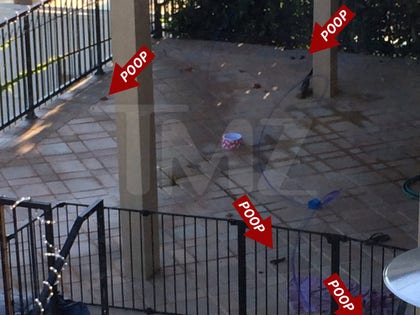 0218_amber_rose_trashed_pad_launch