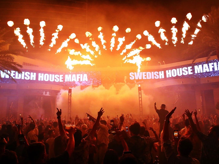 swedish house mafia