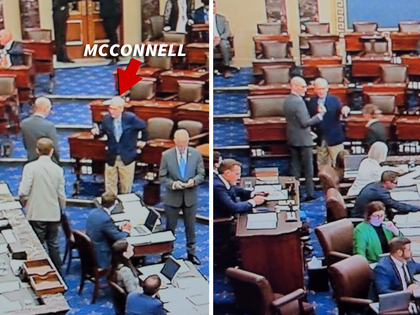 mcconnell reverse course primary