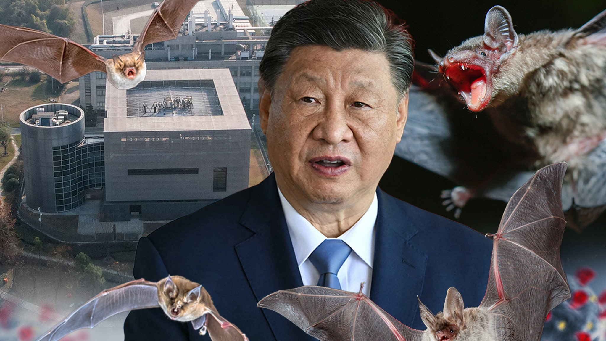 China Issues Bats*** Theory on COVID-19, Virus Originated In U.S.
