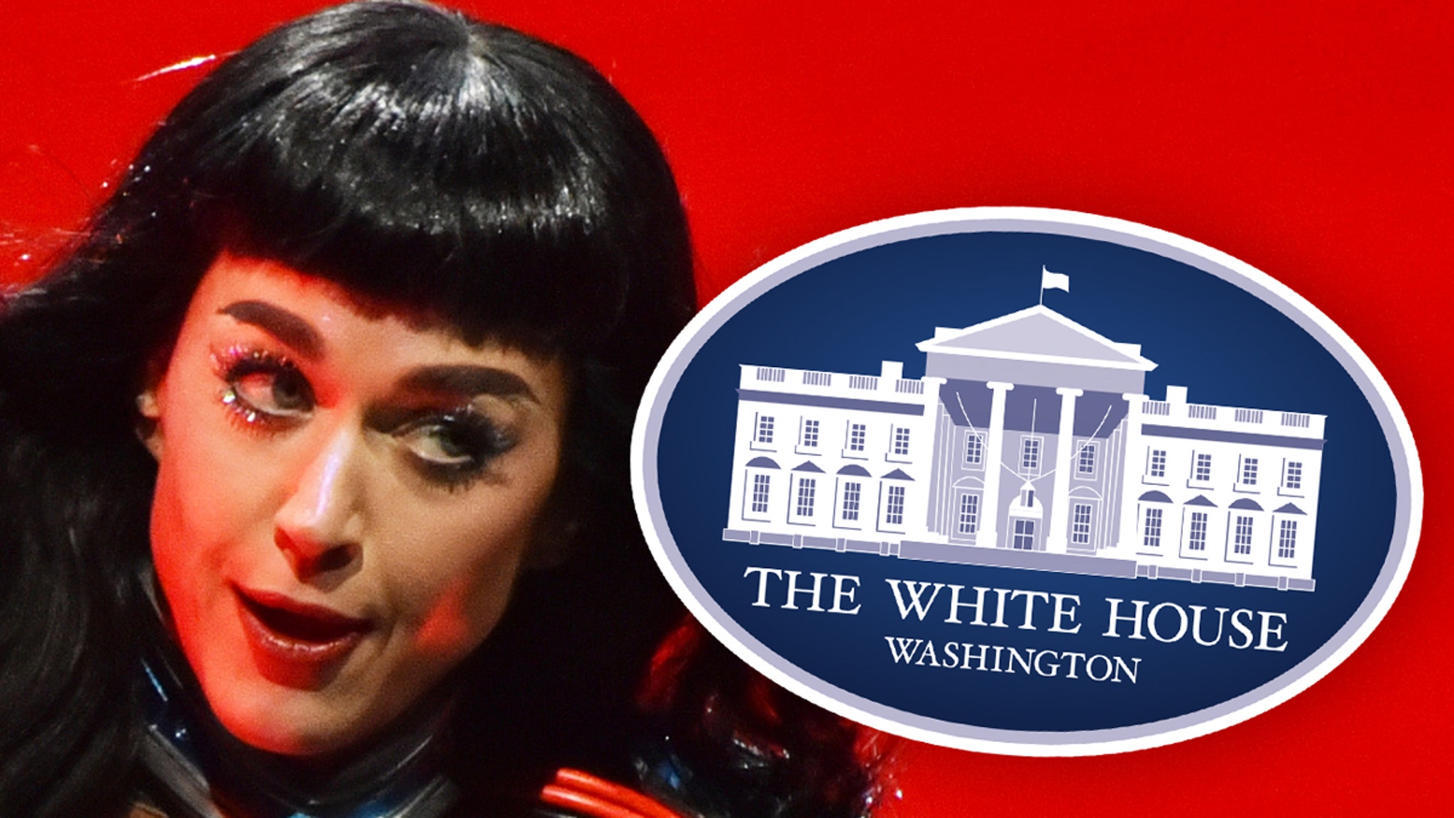 Katy Perry Slams White House for Using Firework in Military Video