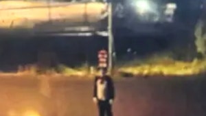 main-Cat-in-the-hat-RCMP-1