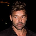 Ricky Martin Ensest, DV İddiaları, Yeğeninden DV İddiaları, Şarkıcı BS'yi Aradı