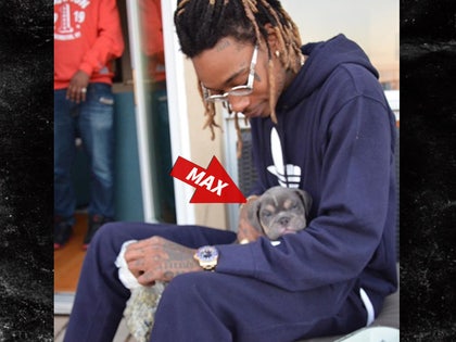 0219-wiz-khalifa-puppy-SD-BULLIES-01