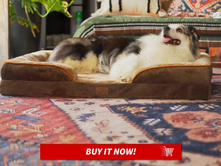 Bedsure-Orthopedic-Dog-Bed-MAIN