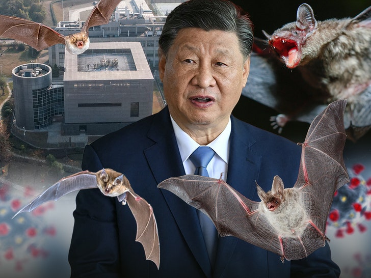 President Xi Jinping on covid usa getty 2