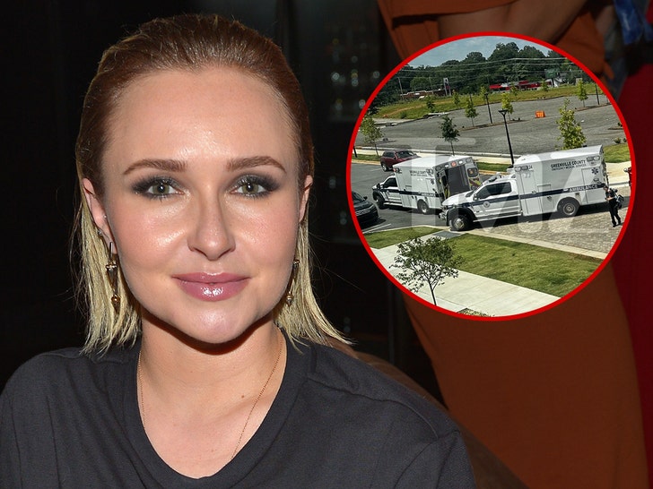 Hayden Panettiere getty tmz 1