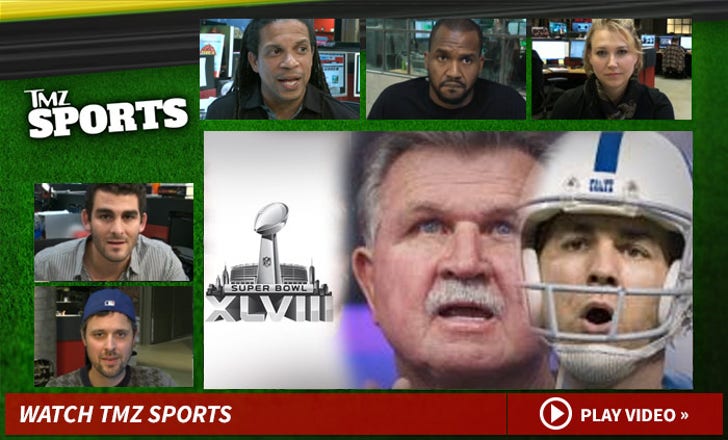 TMZ Sports Show Super Bowl Hookers Shut Down :: tmz-sports-article-1