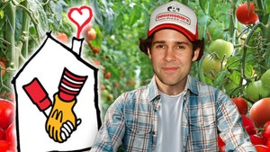 David Dobrik Donates Tomatoes From Pizza Party Launch To Ronald McDonald House
