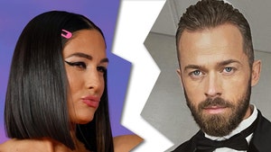 nikki bella Artem Chigvintsev