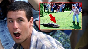 happy gilmore gator everett 1