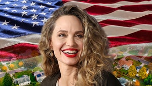 angelina jolie america main getty