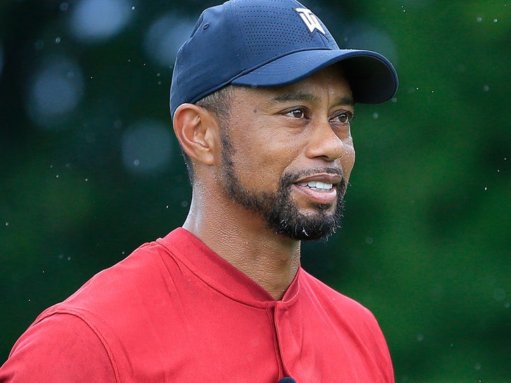 Tiger Woods Returning To PGA Tour At The Memorial, He's Baaaack!