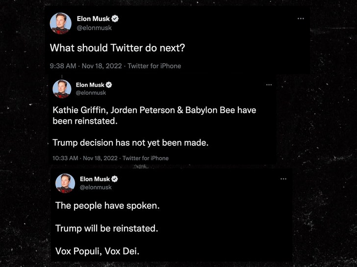 Elon Musk ha twittato 2