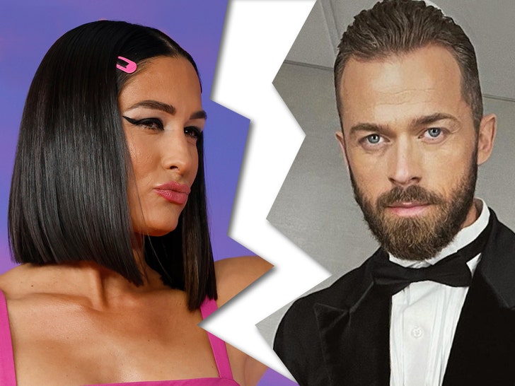 Nikki Bella Files To Divorce Artem Chigvintsev After His Domestic Violence Bust