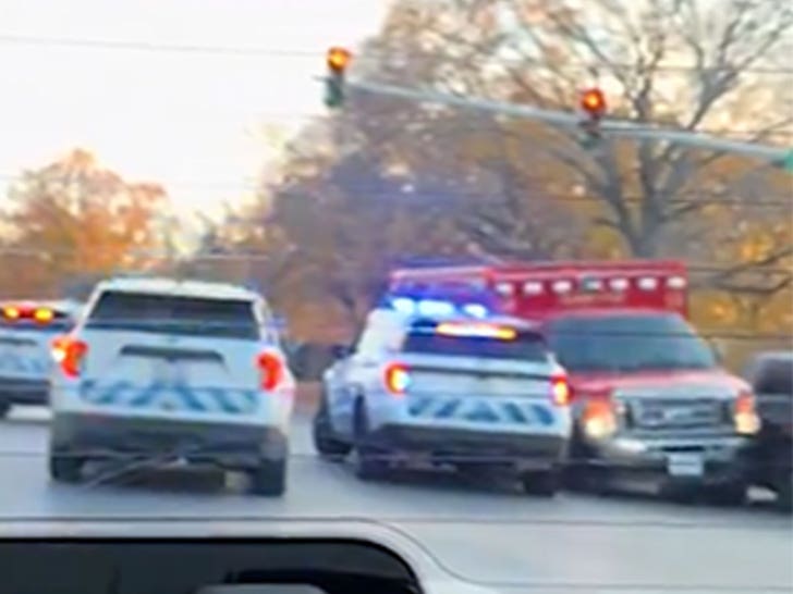 Stolen ambulance crashes into police cars in Chicago