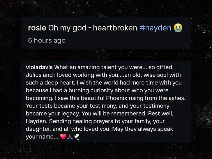 Celebs React to Hayden Panettiere’s Death