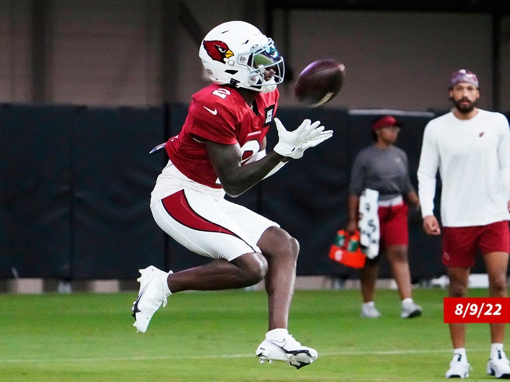 Arizona Cardinals receiver Marquise Brown Disappointed by Speeding