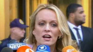 Stormy Daniels Blasts Michael Cohen as 'Trump's Fixer,' Vows to Defeat Him