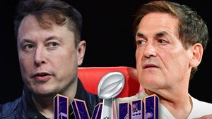 Elon Musk and Mark Cuban Not Betting on Super Bowl LVIII