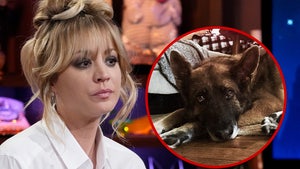 Muere el perro de Kaley Cuoco