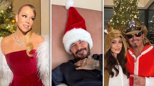 celebrity christmas