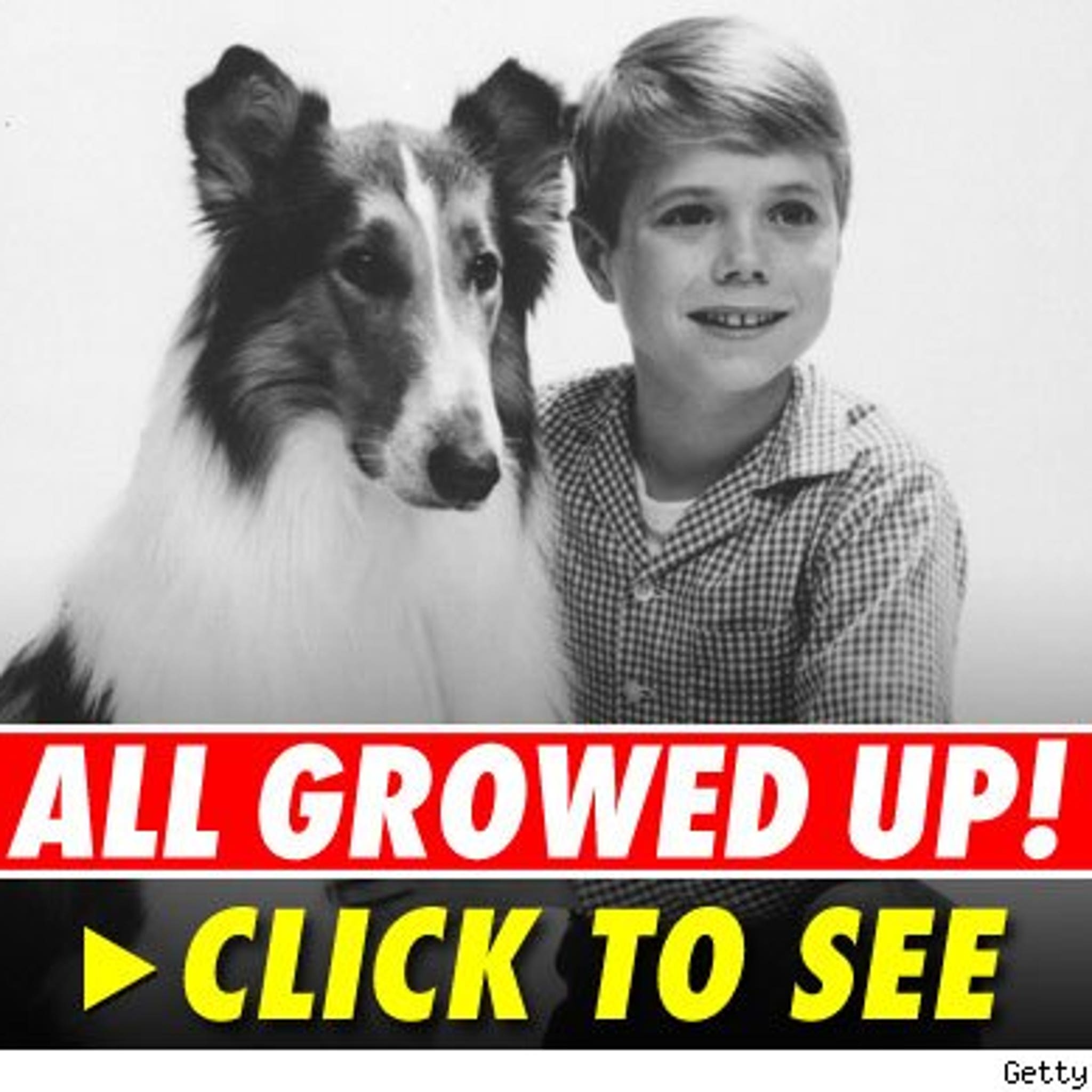 Lassie? Did Timmy Go to Syndication?