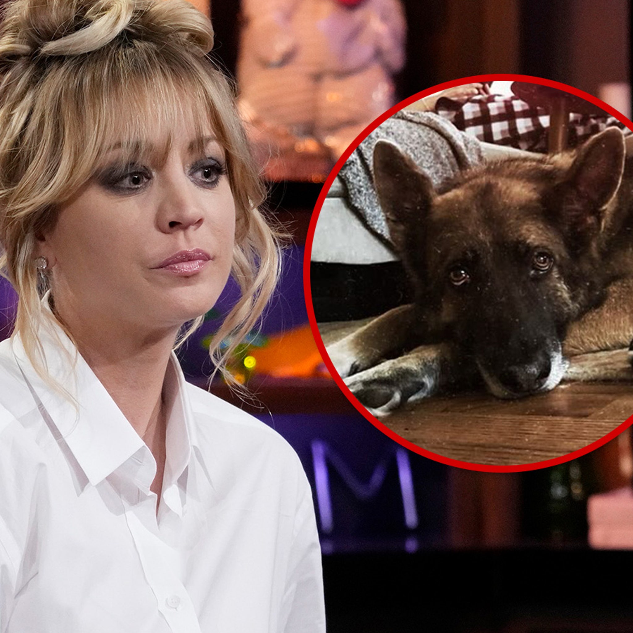 Kaley Cuoco Announces Death of Her Dog, Blue