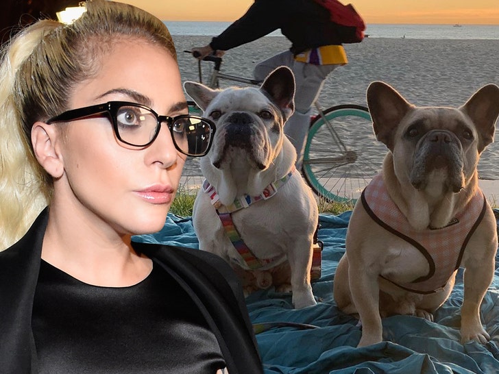 0309-lady gaga dogs getty ig