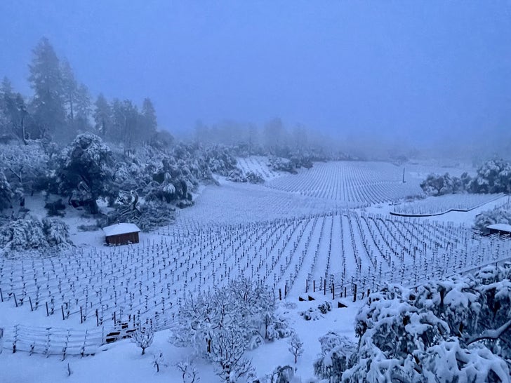 Famous Napa Valley Wineries Blanketed In Snow