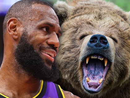 lebron james grizzly bear