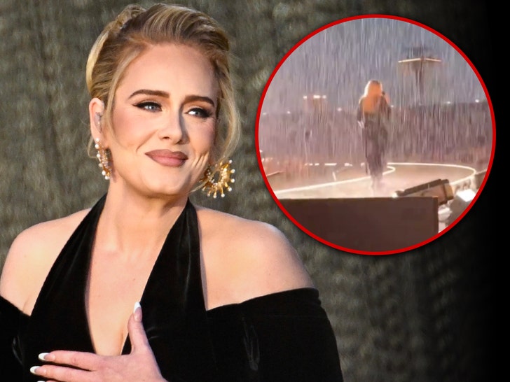 Adele performs in the rain