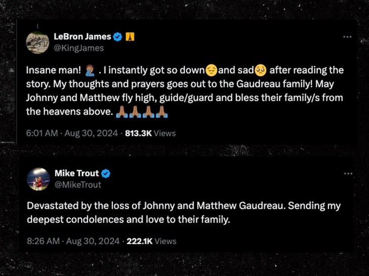 lebron james mike trout tweet about johnny g