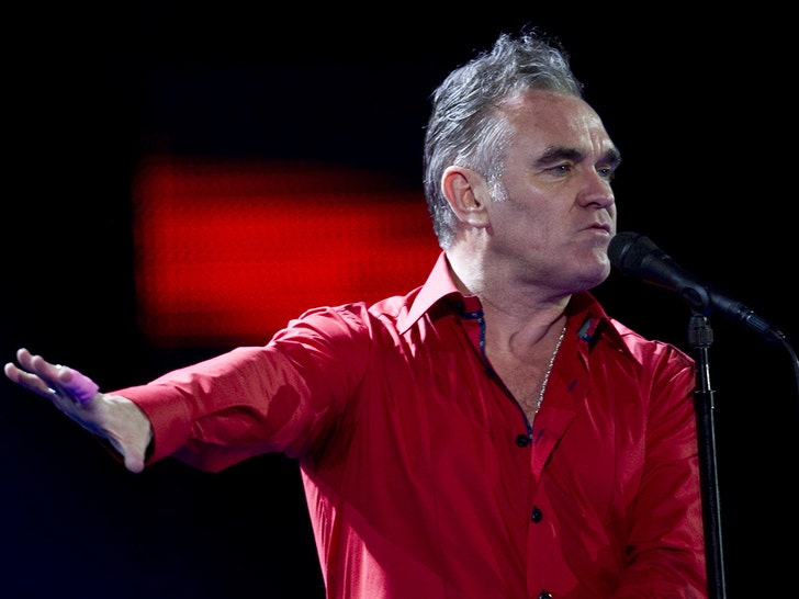 Morrissey -- Live Performance Photos